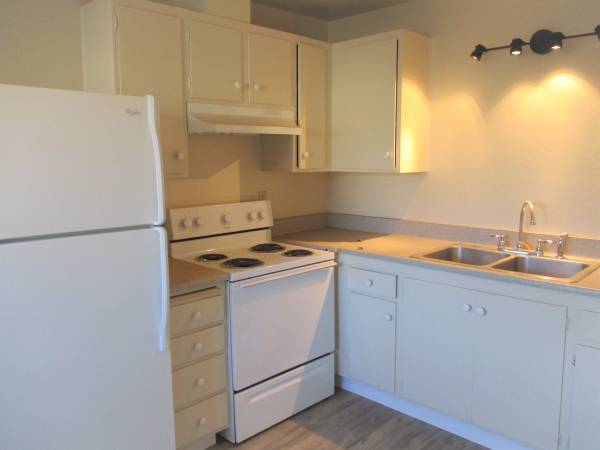 1BR/1BA Apartment · Sunnyvale photo 4