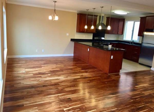 1BR/1BA Apartment · Campbell photo 2