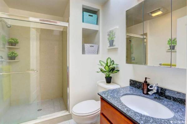 1BR/1BA Apartment · Campbell photo 4