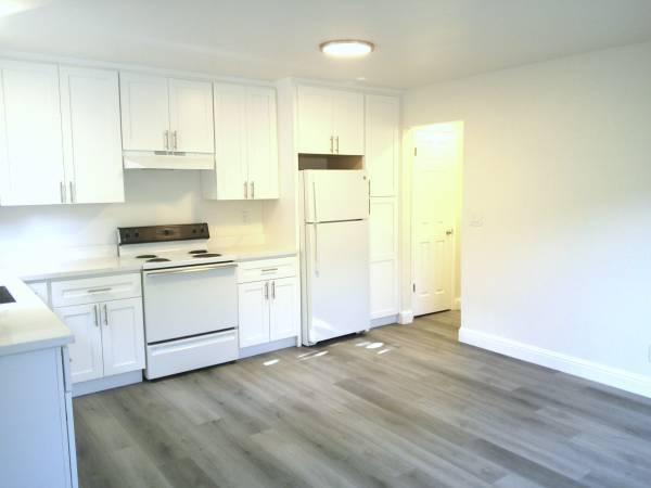 1BR/1BA Apartment · San Jose photo 3