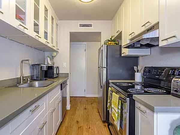 1BR/1BA Apartment · Campbell photo 3