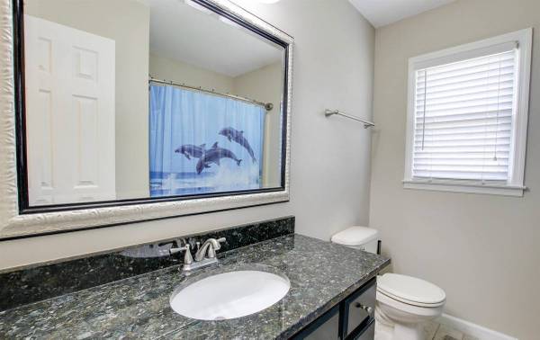 1BR/1BA Apartment · Mountain View photo 3