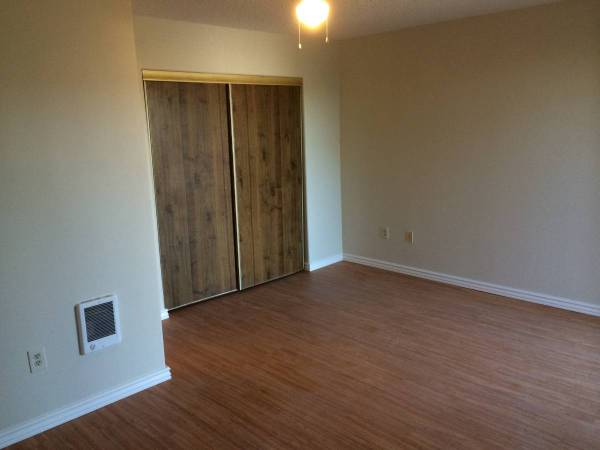 1BR/1BA Apartment · Santa Cruz photo 3