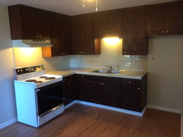 1BR/1BA Apartment · Santa Cruz photo 5