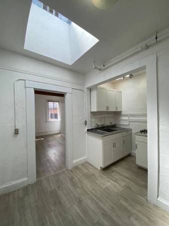 1BR/1BA Apartment · Chicago photo 3