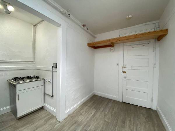 1BR/1BA Apartment · Chicago photo 4