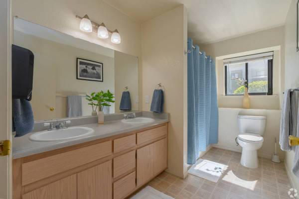 1BR/1BA Apartment · Alameda photo 3