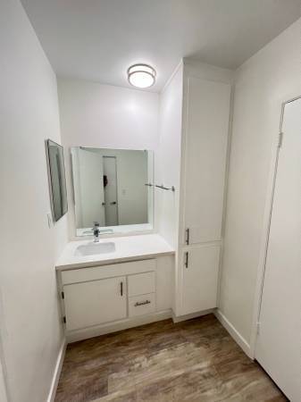 1BR/1BA Apartment · San Francisco photo 3