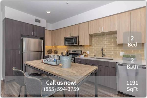 303 Checkers Dr San Jose, CA 95133 photo 3