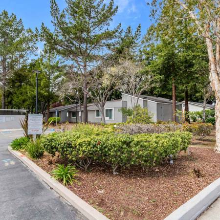 1BR/1BA Apartment on 46th Ave · Capitola photo 4