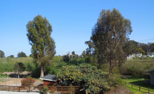 2BR/2BA Duplex on Richmond Dr. · Santa Cruz photo 4