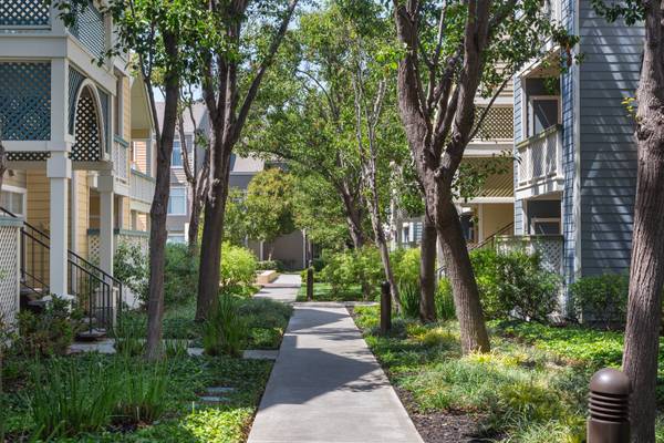 1BR/1BA Apartment · San Jose photo 3