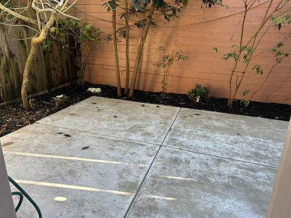 2BR/1BA Apartment · San Francisco photo 3