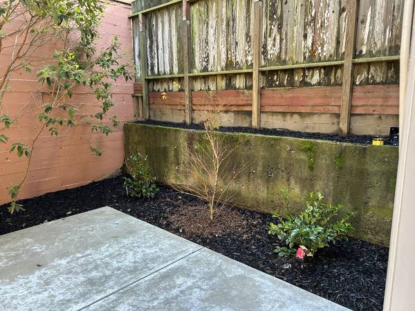 2BR/1BA Apartment · San Francisco photo 4