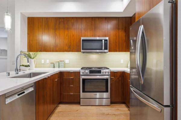 1BR/1BA Apartment · Mountain View photo 4
