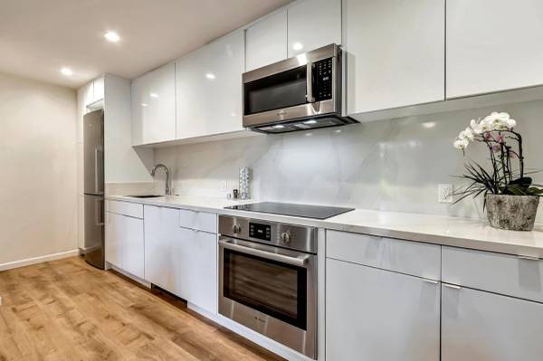 1BR/1BA Condo · Mountain View photo 2