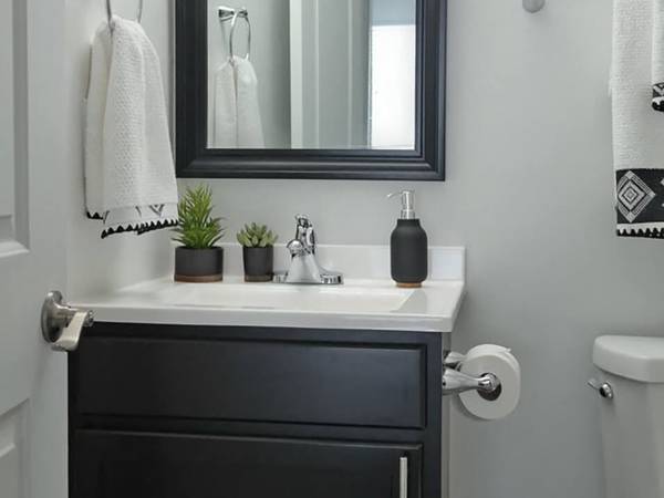 1BR/1BA Apartment · San Francisco photo 4