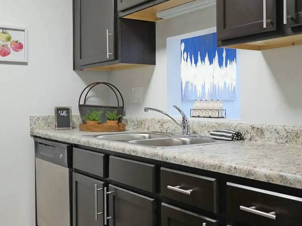 1BR/1BA Apartment · San Francisco photo 5