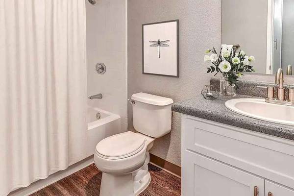 1BR/1BA Apartment · San Francisco photo 3