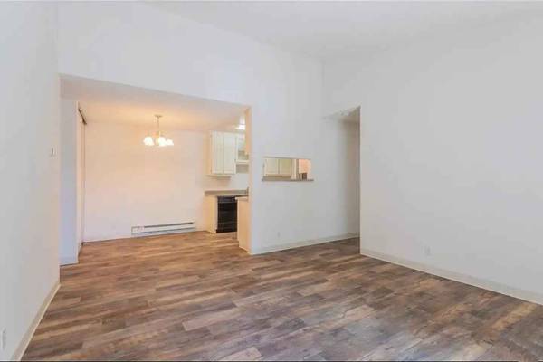 Amberwood Apartments photo 3