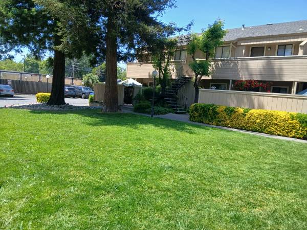 1BR/1BA Apartment · Napa photo 2