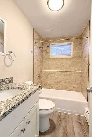 1BR/1BA Apartment · Campbell photo 3