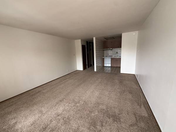 0BR/1BA Apartment on Arguello Blvd. 01 · San Francisco photo 5