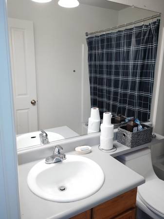 1BR/1BA Apartment · Sausalito photo 3