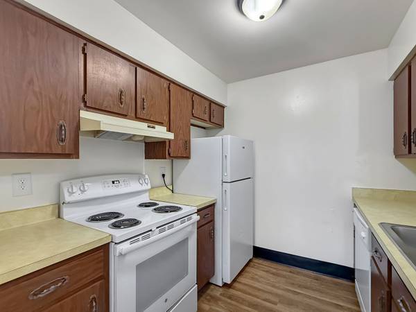 1BR/1BA Single Family House on Pierce St · San Francisco photo 2