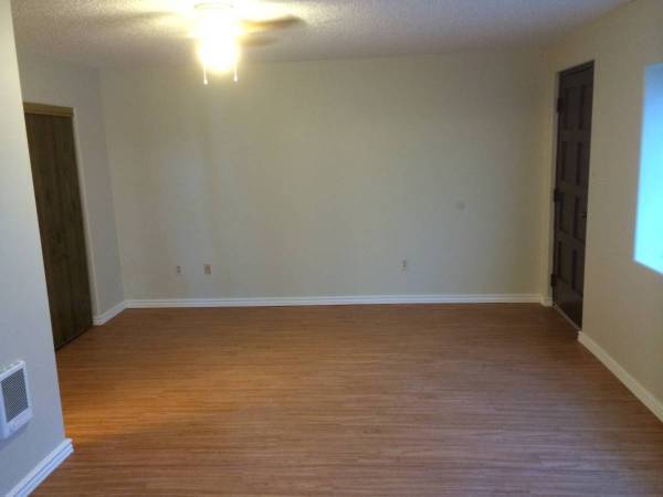 1BR/1BA Apartment · San Francisco photo 2