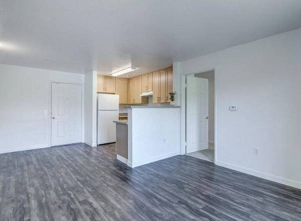 1BR/1BA Apartment · San Francisco photo 2