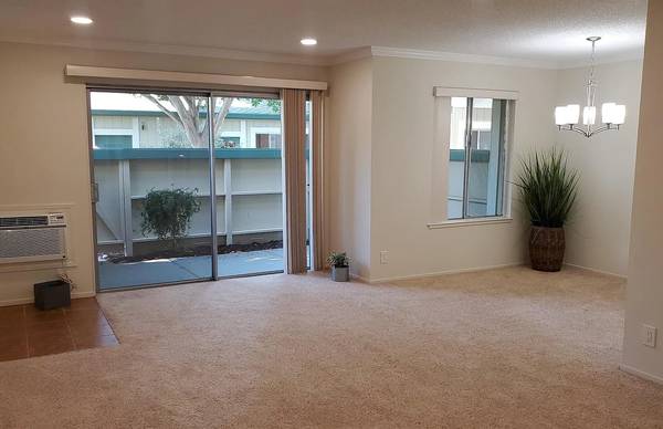 Live Oak Apartments photo 4