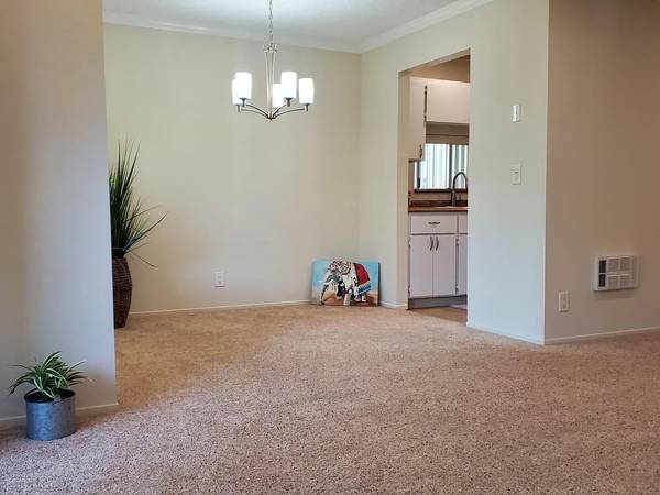 Live Oak Apartments photo 5