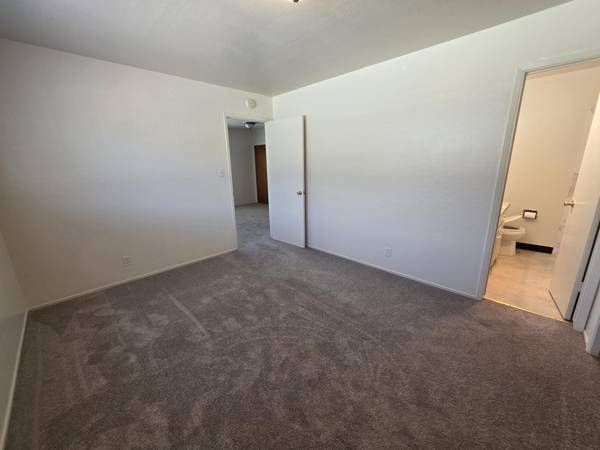 1BR/1BA Apartment · Berkeley photo 4