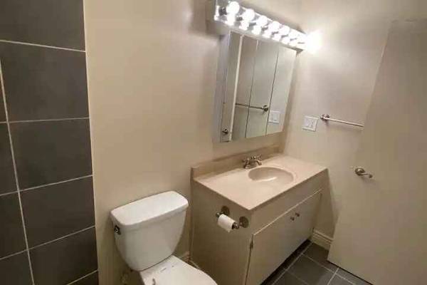 1BR/1BA Apartment · Mineola photo 3