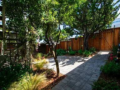 1BR/1BA Apartment · San Francisco photo 4