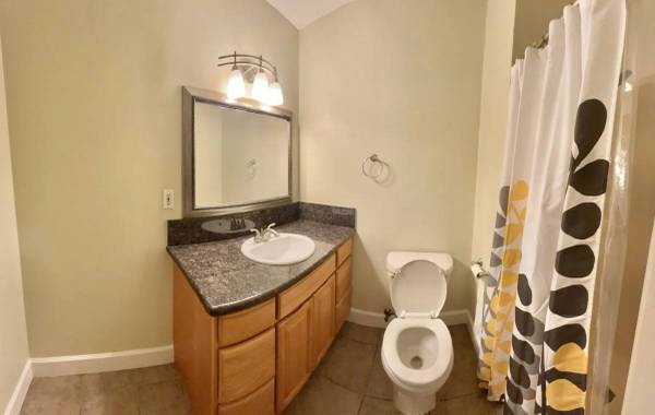 1BR/1BA Apartment · Brooklyn photo 3