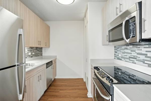 1BR/1BA Other · Chicago photo 4