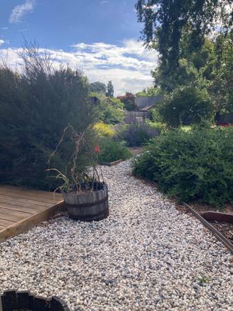 0BR/1BA In Law Adu · Santa Rosa photo 3