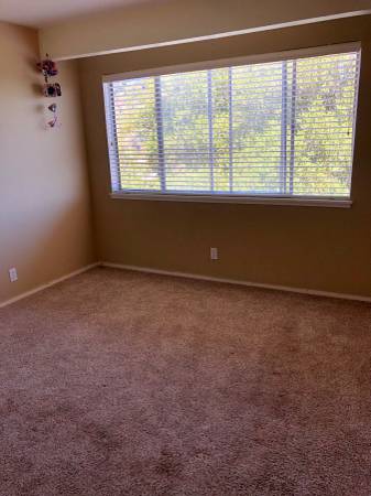 1BR/1BA In Law Adu · Kentfield photo 3