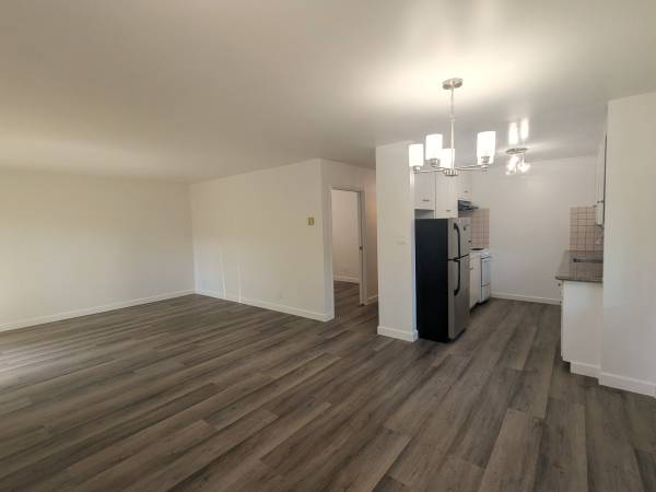 Apartments on Milvia Street 1 · Berkeley photo 2