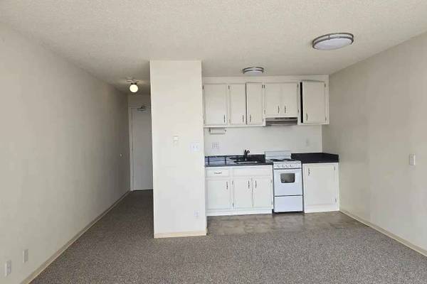 1257 Bush Street Rentals photo 2