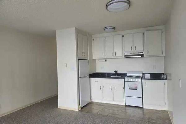 1257 Bush Street Rentals photo 3