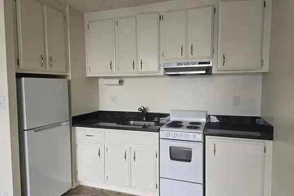 1257 Bush Street Rentals photo 4