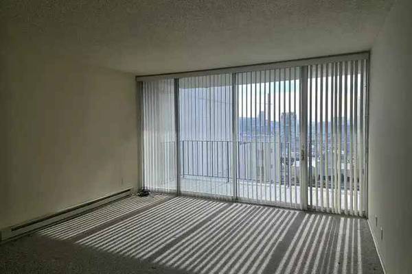 1257 Bush Street Rentals photo 5