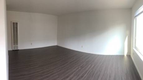 1BR/1BA Apartment · San Francisco photo 2