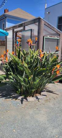 1BR/1BA Duplex · Alameda photo 2