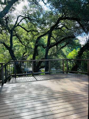 1BR/1BA Apartment · Fairfax photo 2