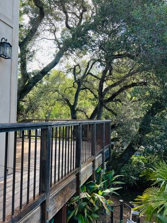 1BR/1BA Apartment · Fairfax photo 3