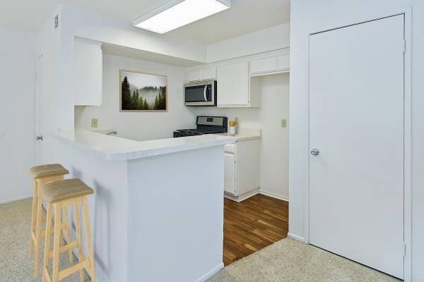 1BR/1BA Apartment · San Francisco photo 2
